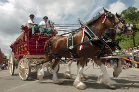 The Clydesdales are coming; Ludington Beverage celebrates anniversary