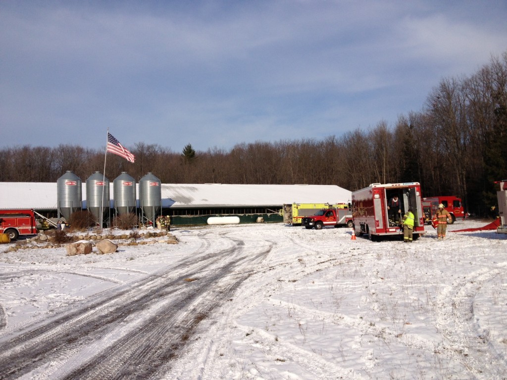 Fire at pig barn contained inside building
