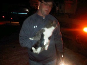 Fire chief, linemen rescue kitty from power line