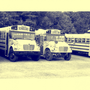 Ludington schools voters may decide on new buses