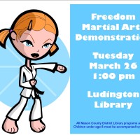 Martial arts at Ludington library