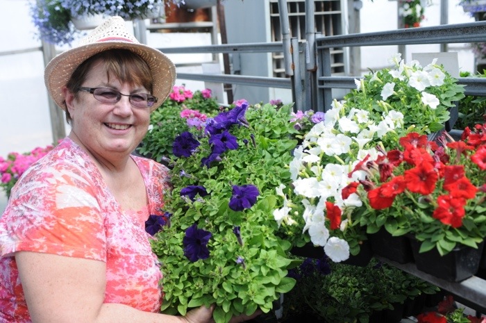 Petunia parade planting Saturday