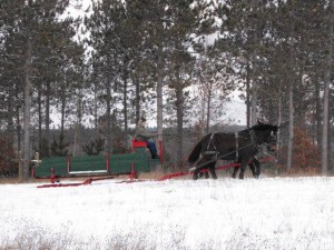Ranch offers holiday sleigh rides