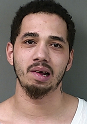 Ludington man pleads guilty to resisting police, drug charges