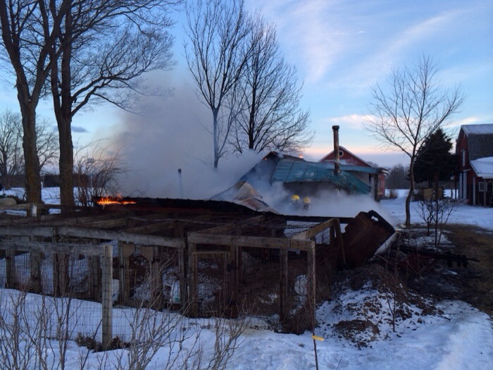 Owner saves dogs from burning building