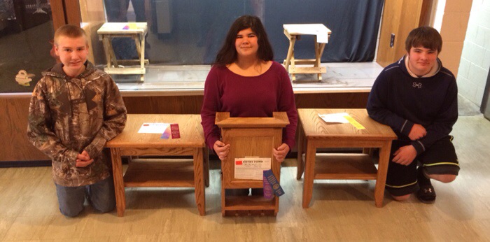 Ludington industrial arts students place in state competition
