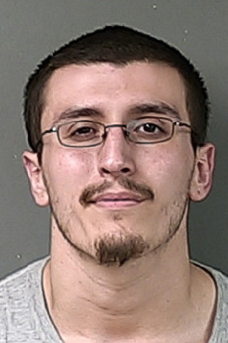 Ludington man pleads guilty to multiple counts.