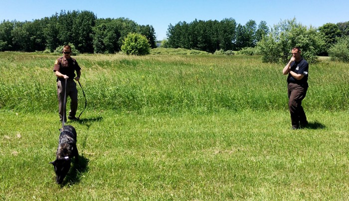 New K-9 officer, sergeants at sheriff’s office