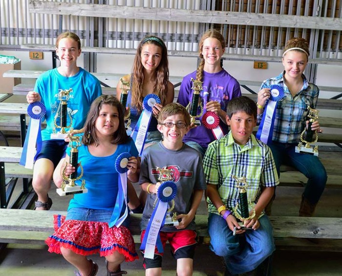 Fair goat showmanship