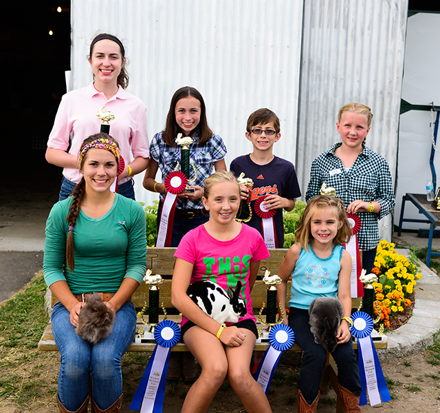 4-H rabbit winners