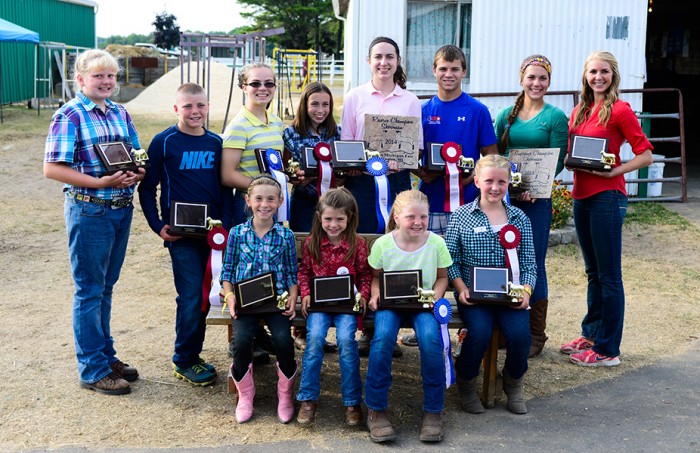 4-H sheep winners