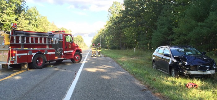 Vehicle swerving to miss turkey hits power pole.