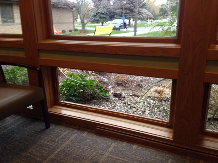 Deer crashes through office window at CMH building.