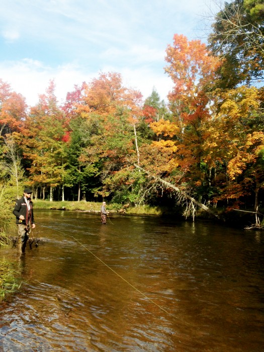 Not a good fall for salmon fishing.