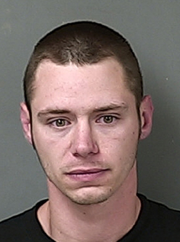 Ludington man faces jail time for resisting police, domestic violence.