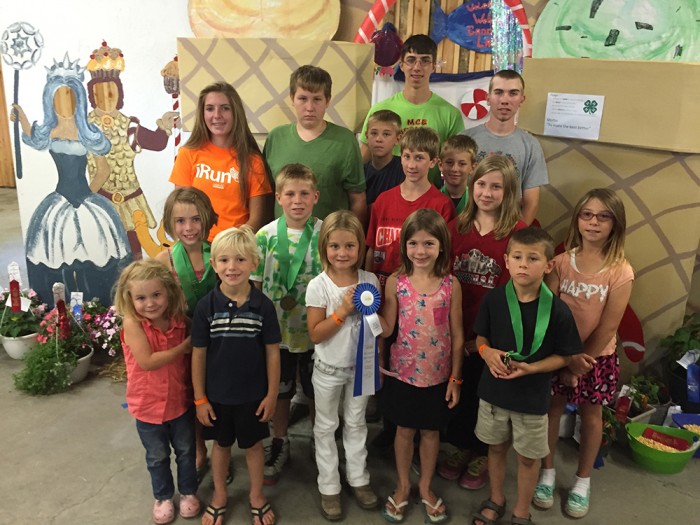 Mason County 4-H exhibit winners.