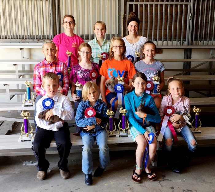 Mason County 4-H rabbit winners.