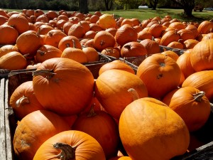 Pumpkin carving safety tips.