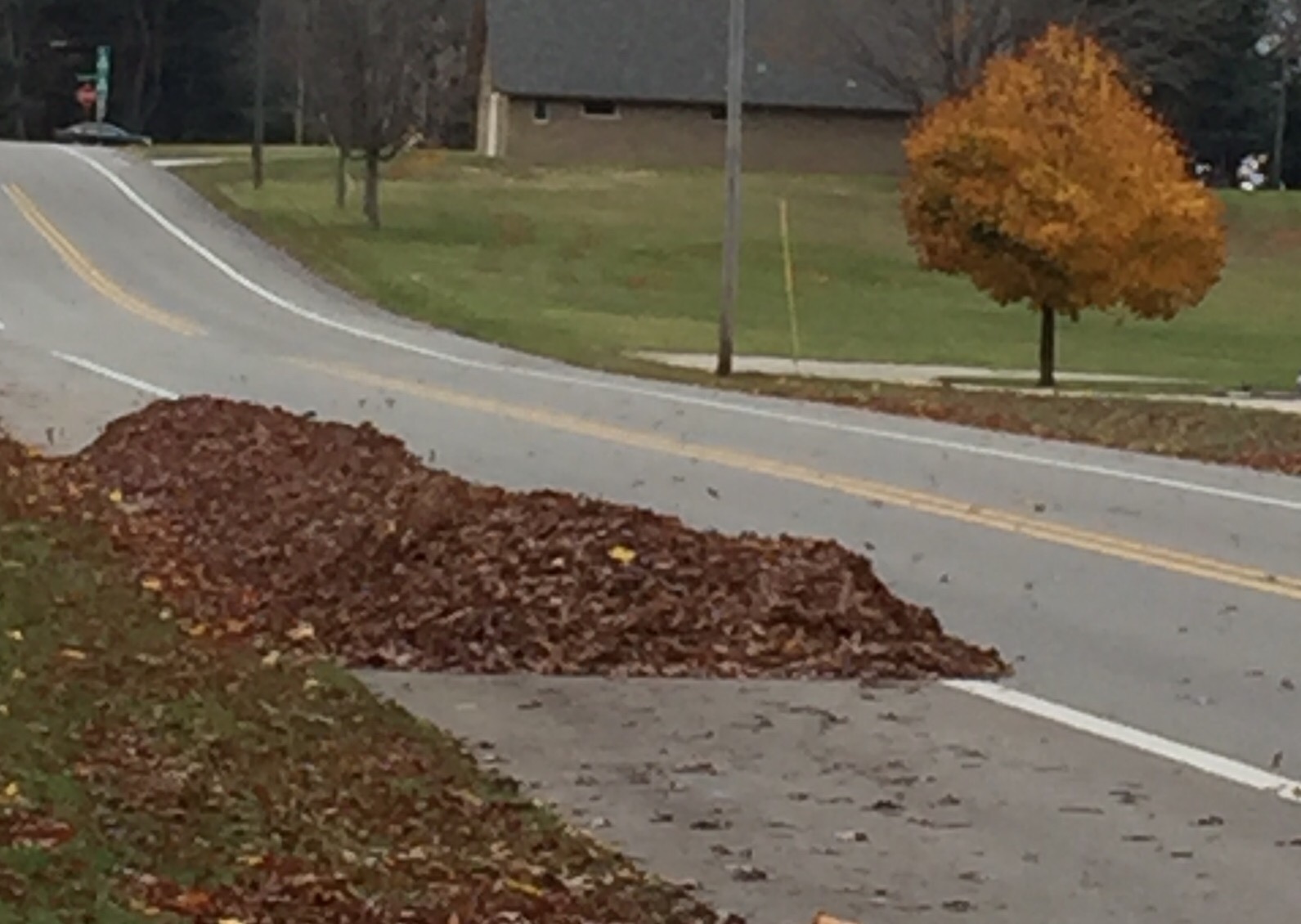 Bike-pedestrian path or leaf-yard waste path?