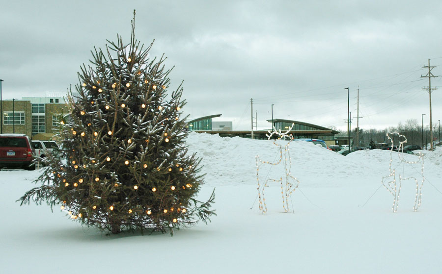 Lights and Love Tree.