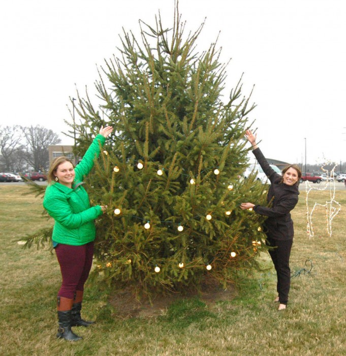 Hospital tree begins to fill with love.