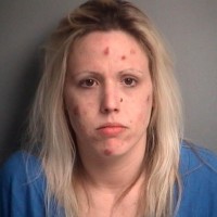 Manistee woman faces meth charges in Mason and Manistee counties.