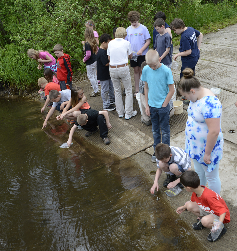 MCE third graders release salmon parr.