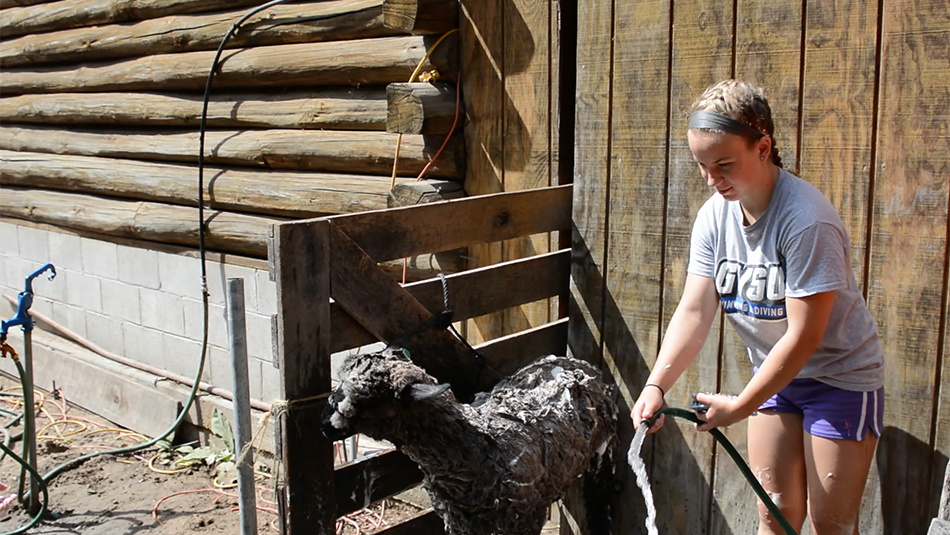 The Shoop family, friendly farmers who love 4-H.