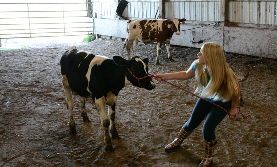 4-H A Lot offers a variety of activities for kids.