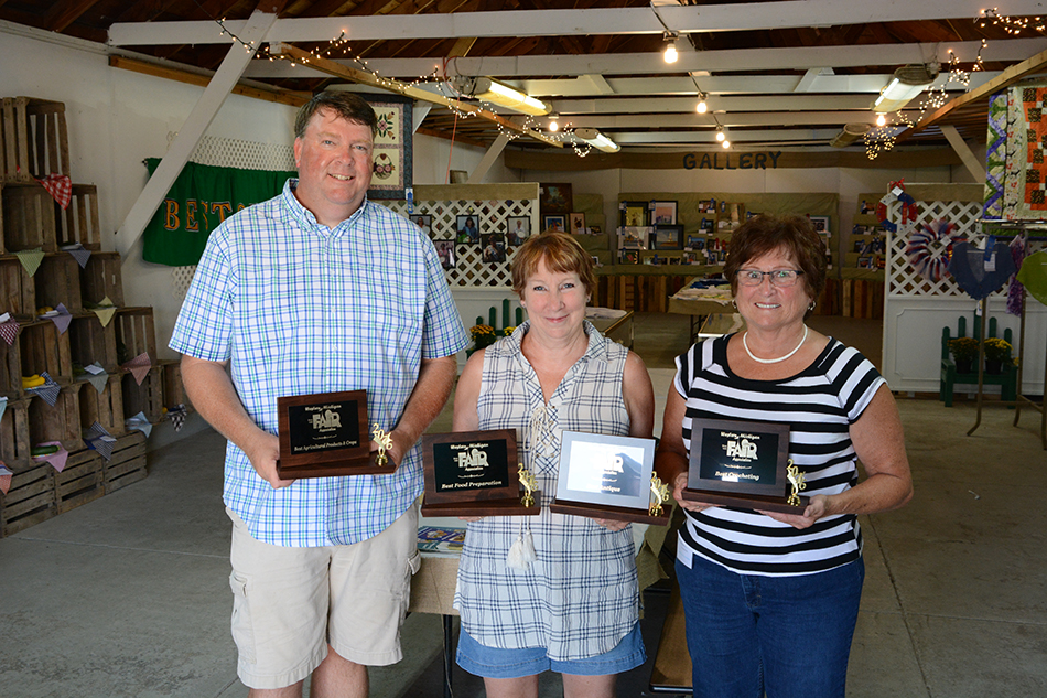 Fair open class adult exhibit winners.