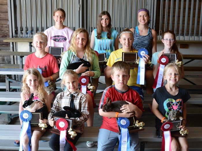 Fair rabbit winners.