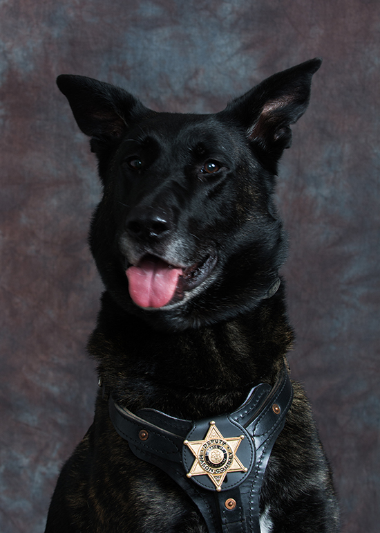 Police dog rescues autistic boy lost in the woods.