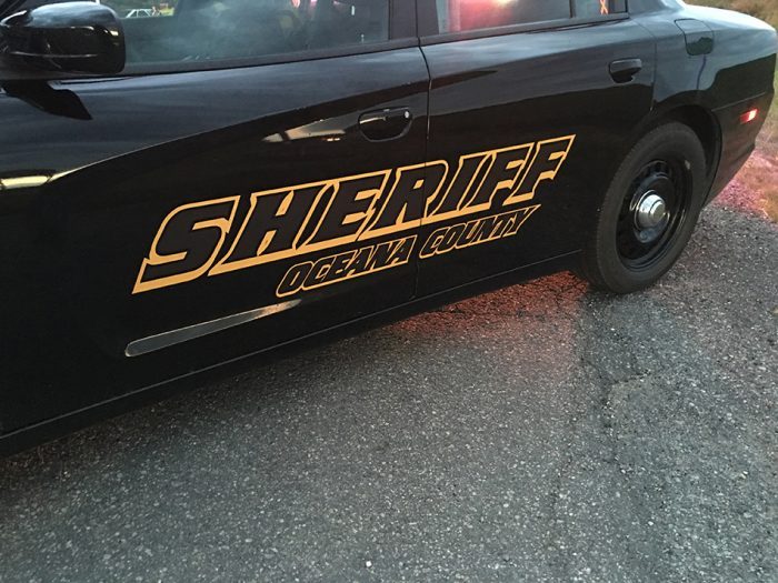 Drowning victim’s 9-year-old sister tried to save her.