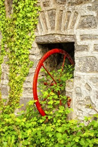 Emerald Expressions by Becky Alway; Ireland photographs, photography