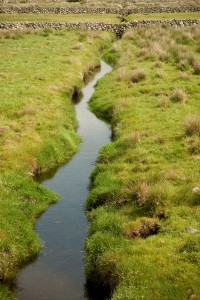 Emerald Expressions by Becky Alway; Ireland photographs, photography