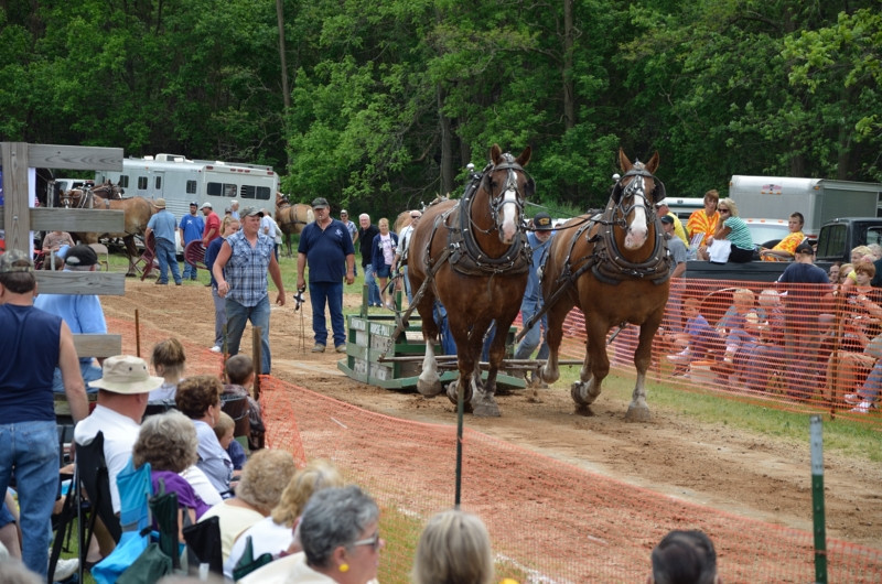 Fountain Horse Pull returns Sunday, May 29.