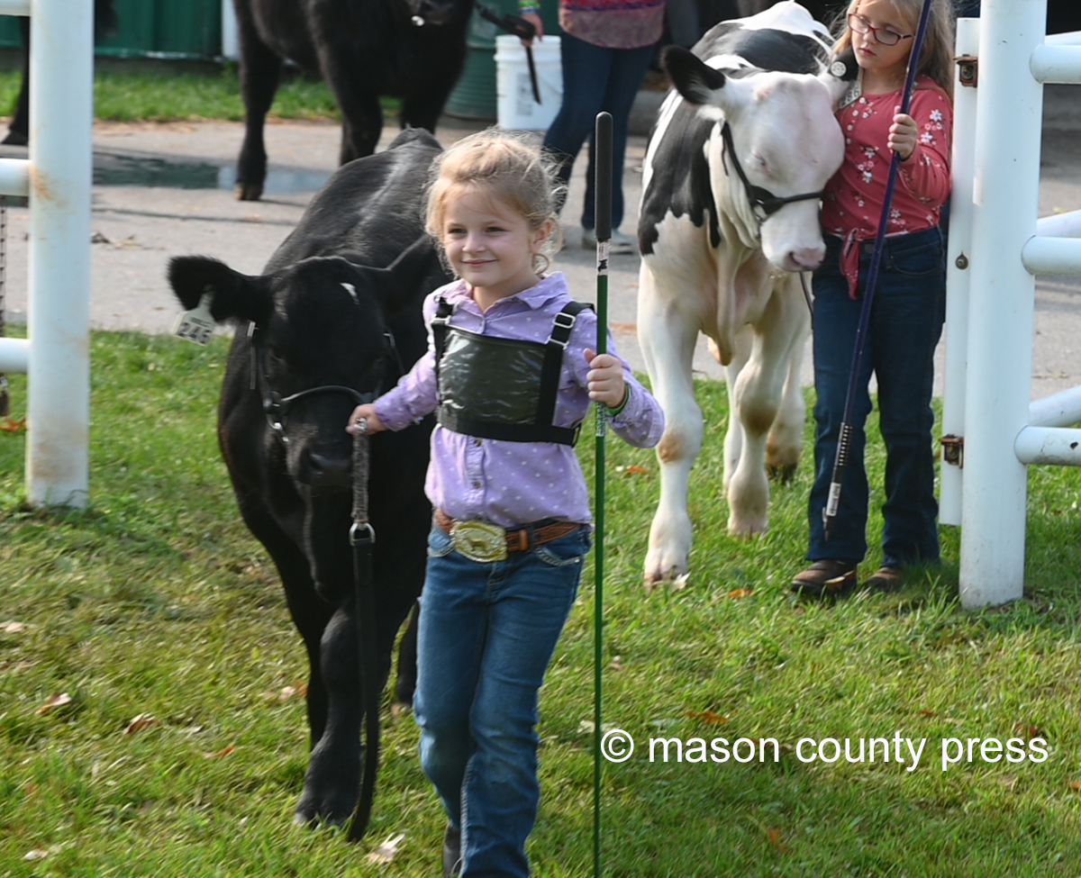 Western Michigan Fair begins Tuesday; harness racing Monday