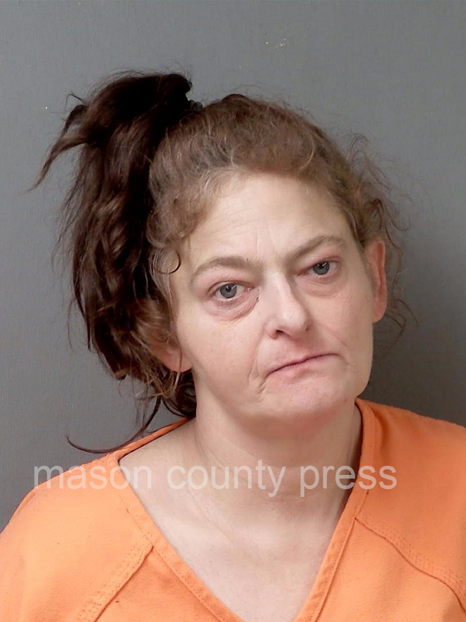 Woman sentenced to 6-40 years in prison for dealing meth ...